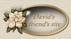 David's friend's site