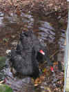 2004vacation0031.JPG (85074 bytes)