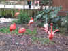 2004vacation0042.JPG (106407 bytes)