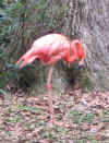 2004vacation0045.JPG (161635 bytes)
