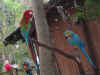 2004vacation0047.JPG (76622 bytes)