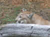 2004vacation0050.JPG (72875 bytes)