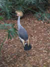 2004vacation0054.JPG (80761 bytes)