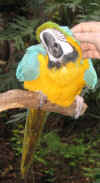 2004vacation0061.JPG (28803 bytes)